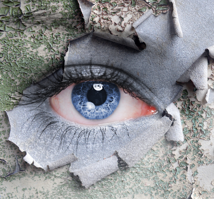 Olhar Único: Imagens que contam histórias e emocionam.